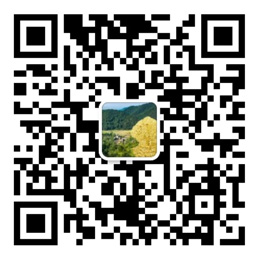 易彩网官方app